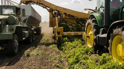 Agriculture