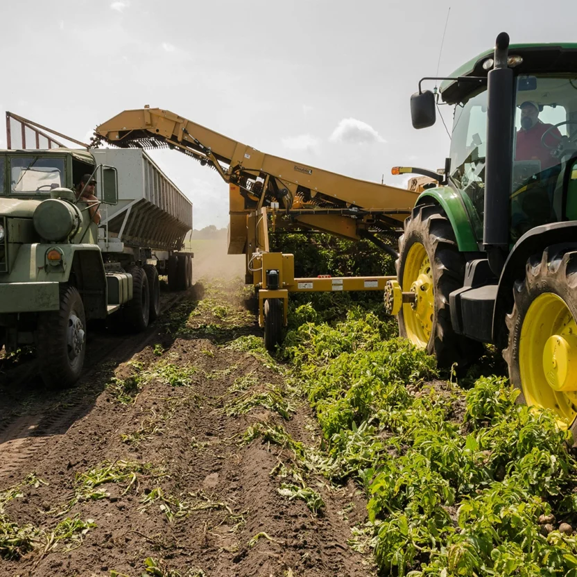 Agriculture