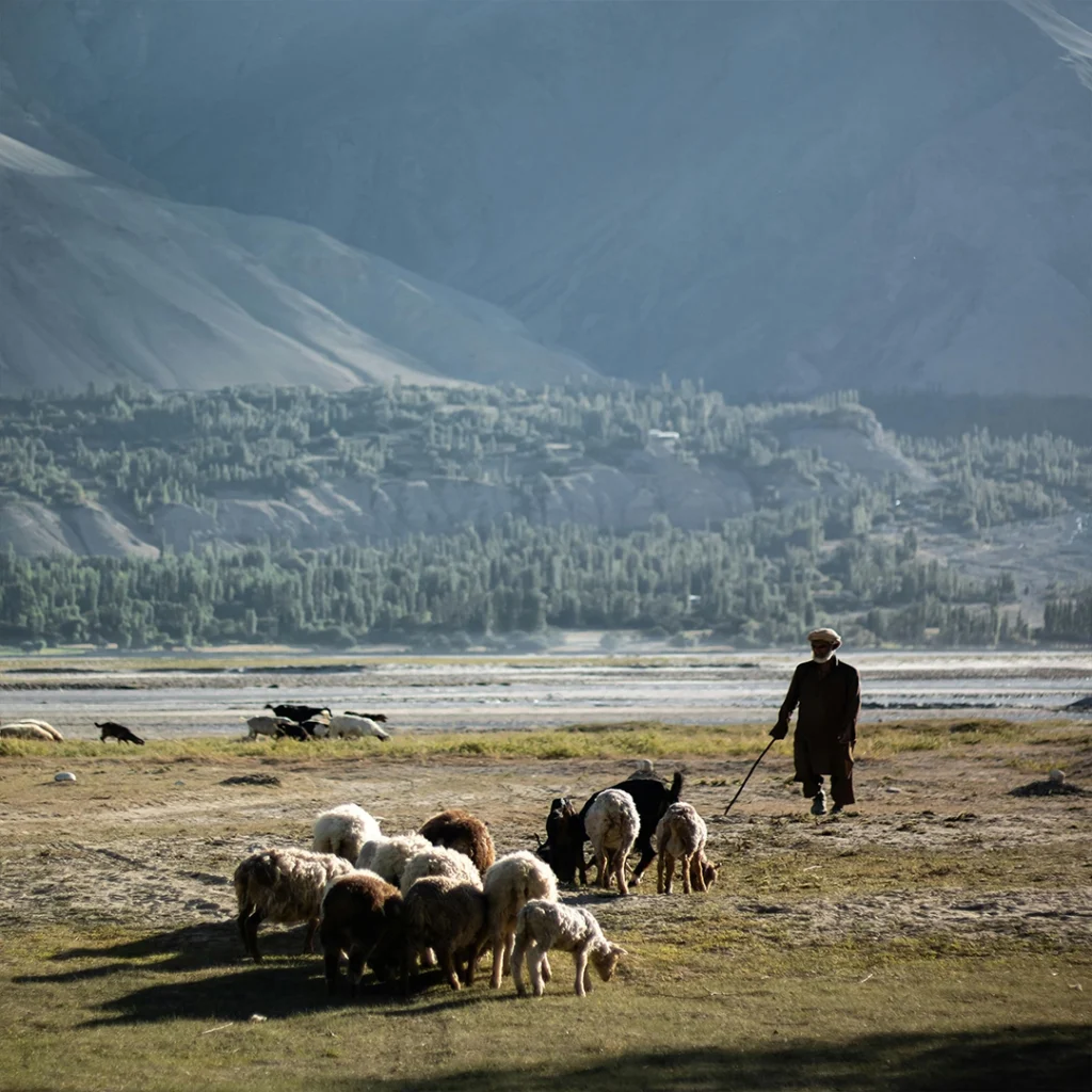 Local and Religious Tourism