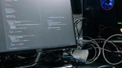 Software and IT Services