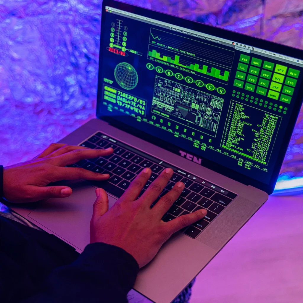 Software and IT Services