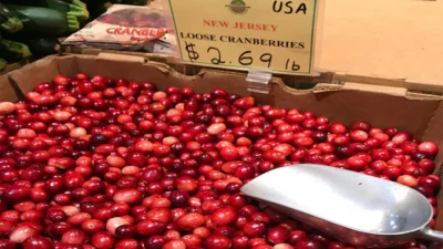 US Producer Prices